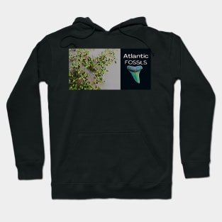 Beach Plants and Shark Teeth Hoodie